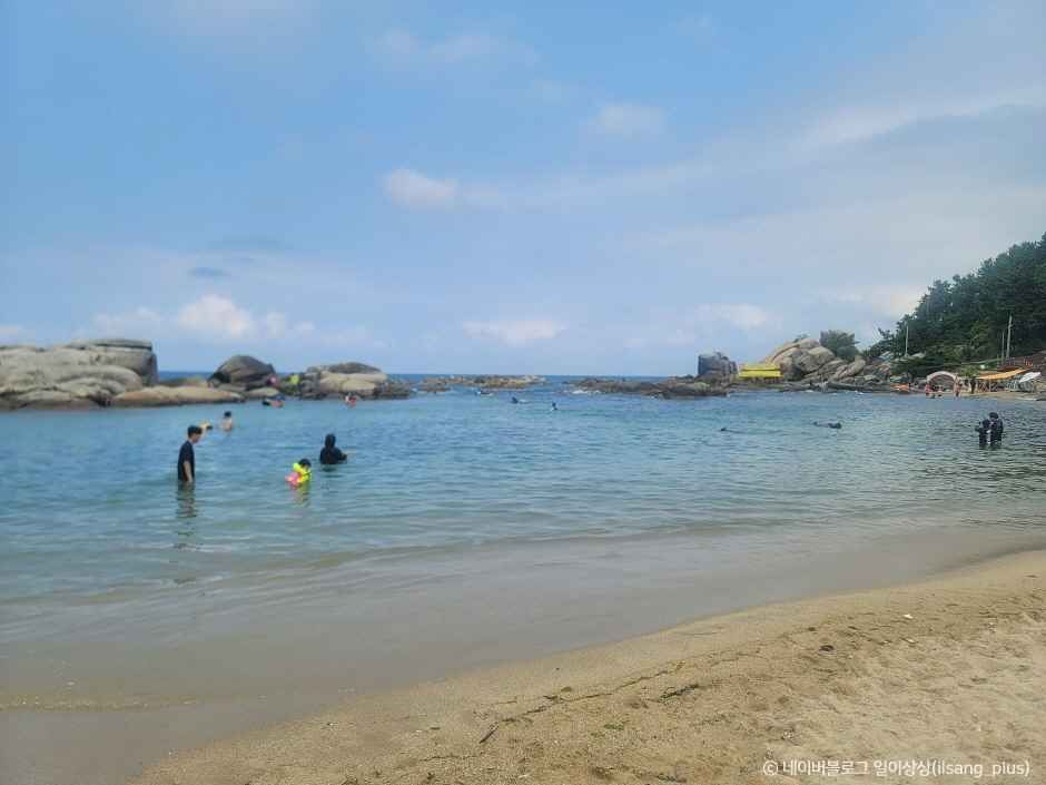양양 광진해변
