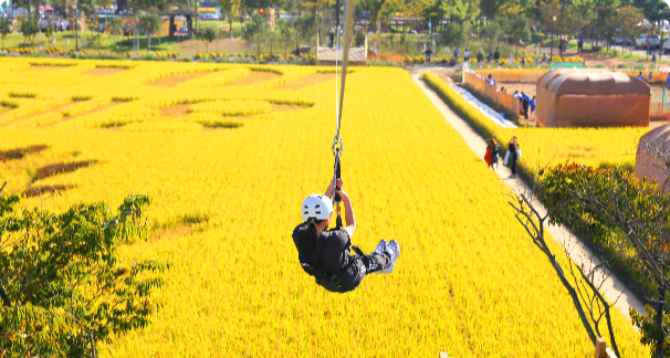 김제 지평선축제