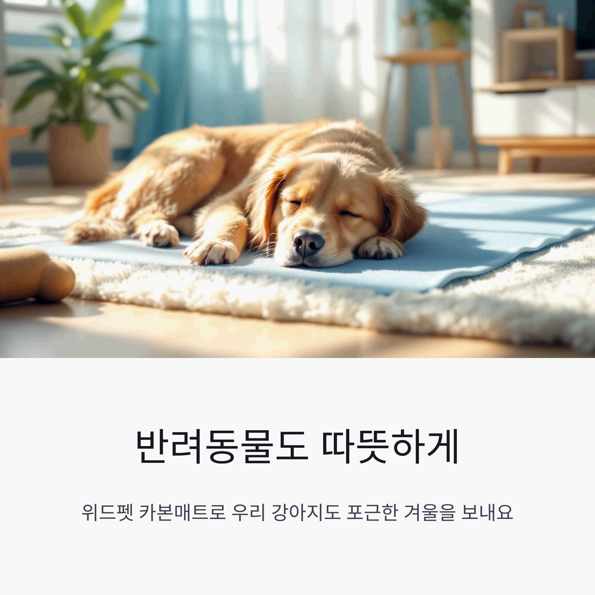 반려견이 경동나비엔 위드펫 카본매트 위에서 안전하게 휴식을 취하는 모습