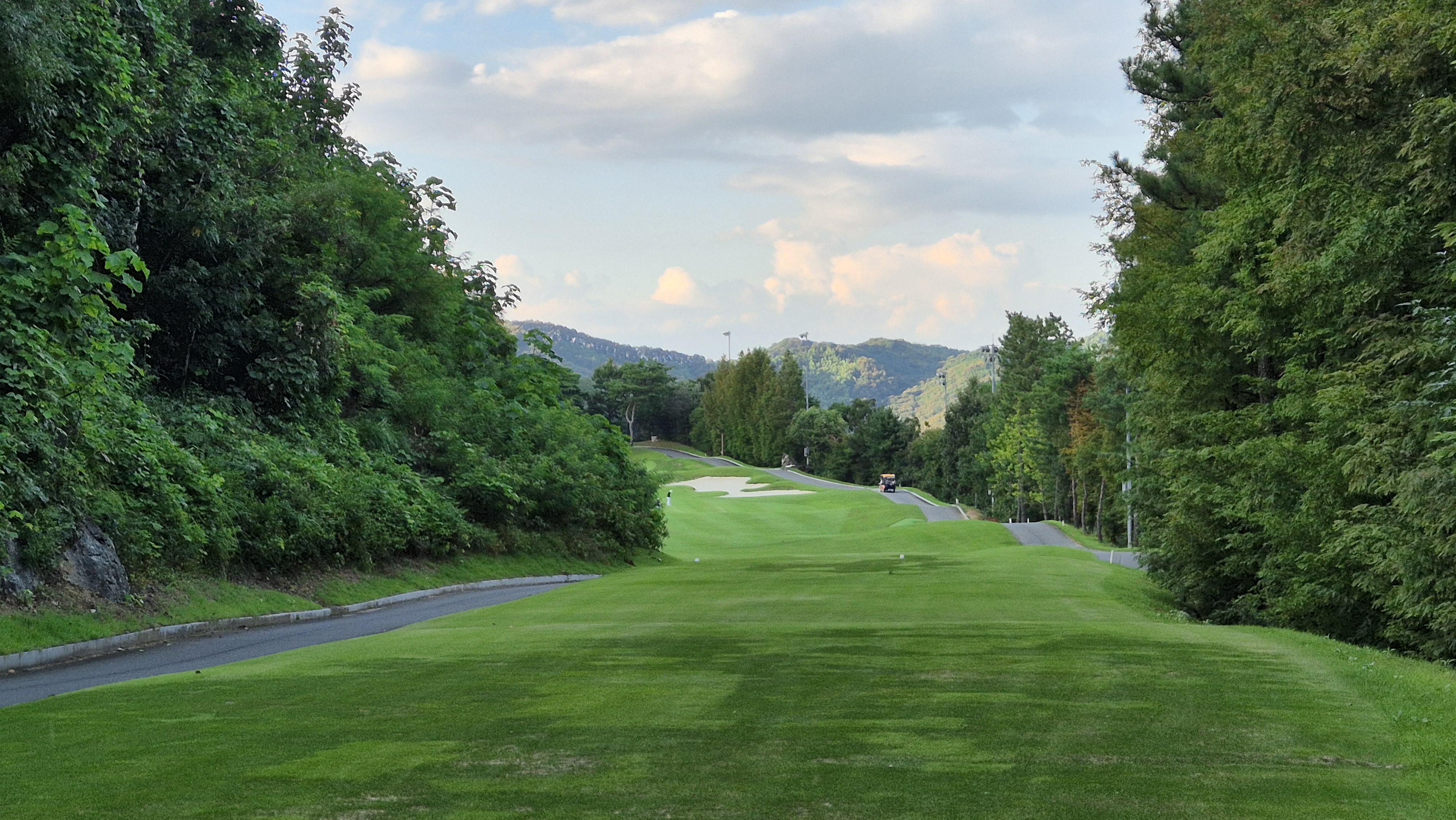 대영힐스cc 청-력 코스 사진 및 공략 정보