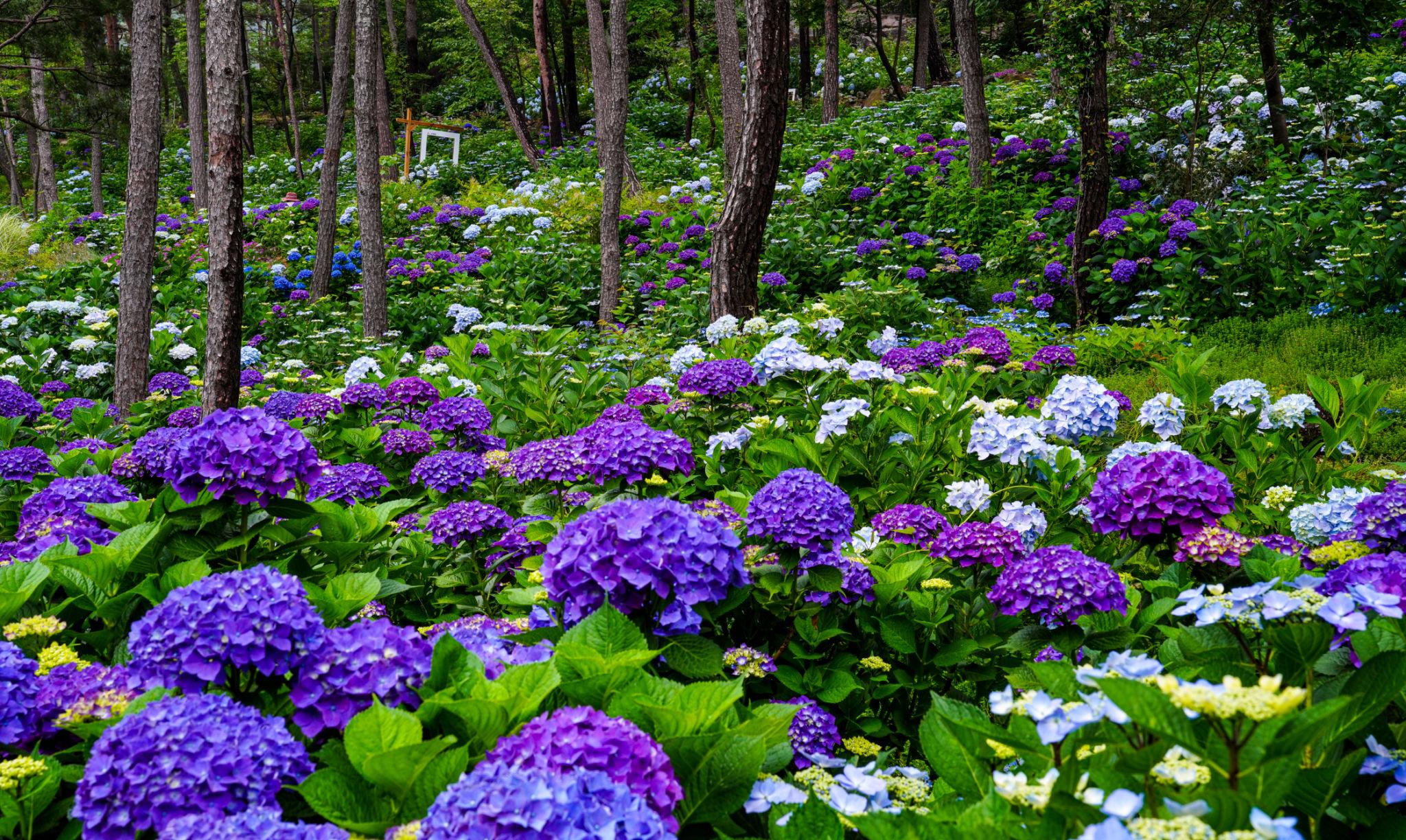해남 땅끝수목원 관람 가이드