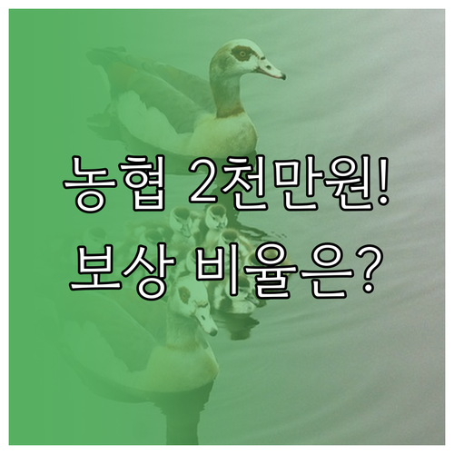 NH농협손해보험 슬개골 보장 2천만원..