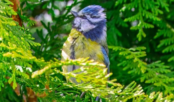 아킬레스건 염증 치료법 총정리 12