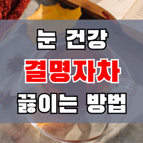 결명자차 효능과 끓이는 방법