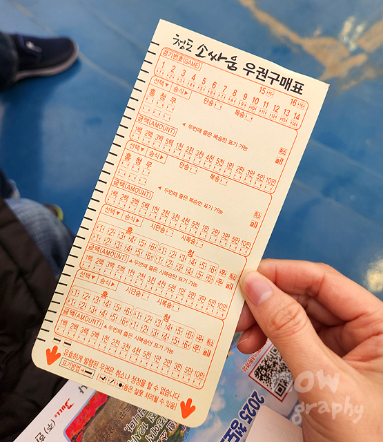 청도-소싸움경기장