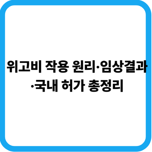 위고비 총정리