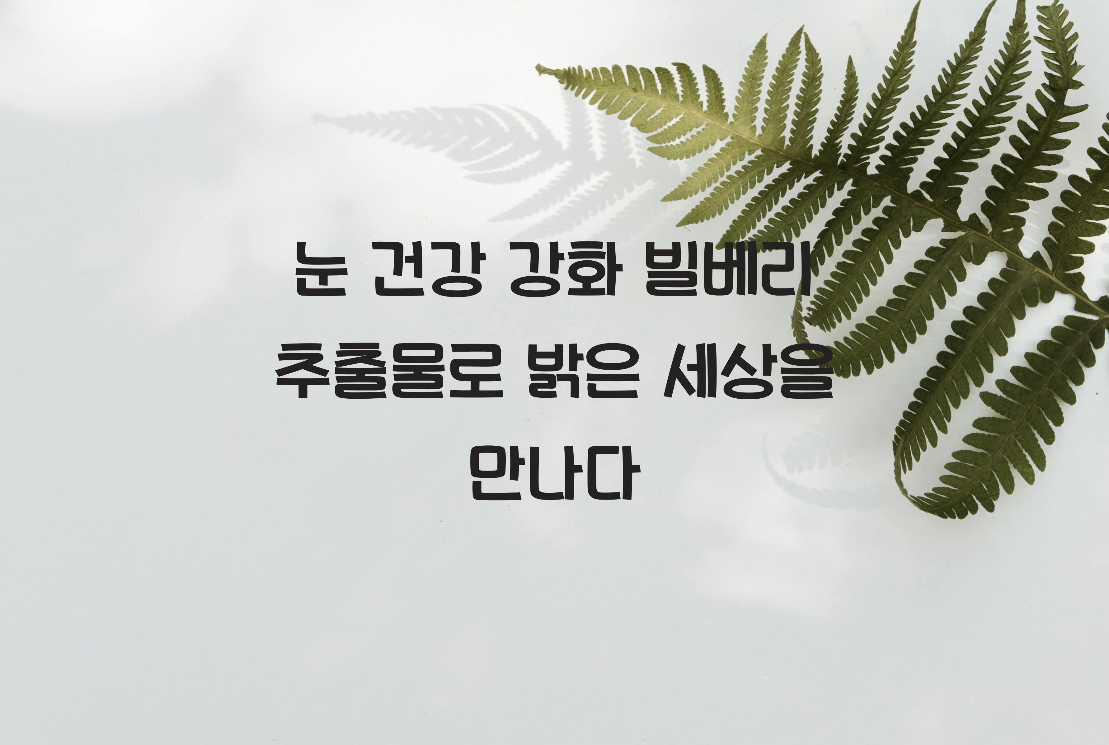 눈 건강 강화 빌베리 추출물