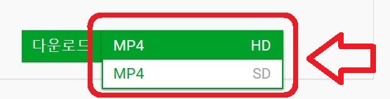 페이스북 동영상 다운로드 방법 6