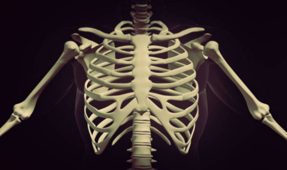 늑골골절-치료기간