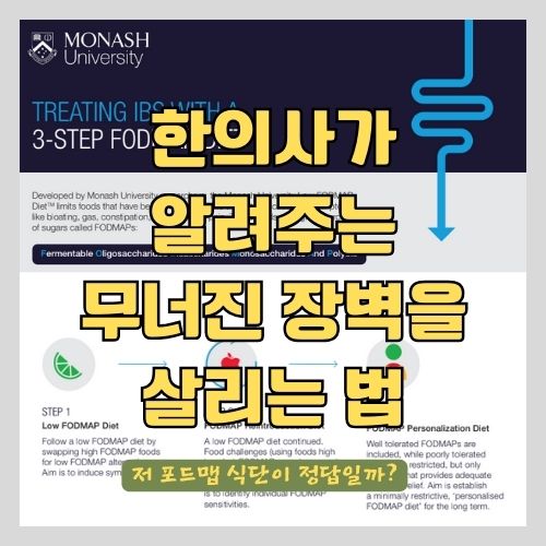 과민성 장 증후군에 저 포드맵 식단이 답일까?