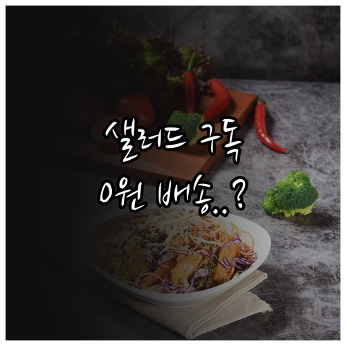 2026 샐러드 구독 브랜드 특징 분..