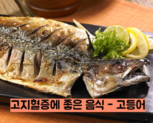 고지혈증에 좋은 음식