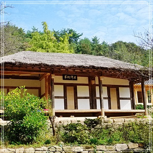 6시 내고향 소문난 합격 명당? 남매의 촌집 소개 방송