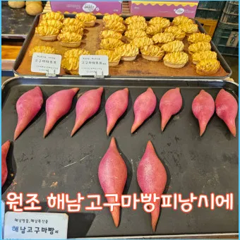 해남 맛집 베스트10 현지인 숨겨진 맛집_15