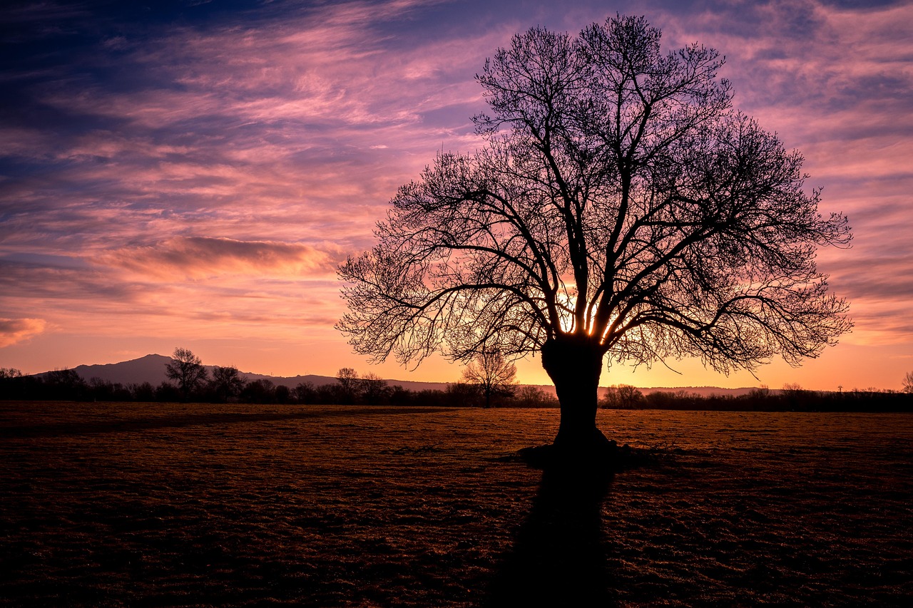 벽돌로 도시의 색을 칠하는 조적 장인의 하루