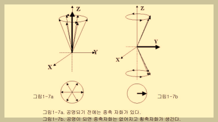 공명현상