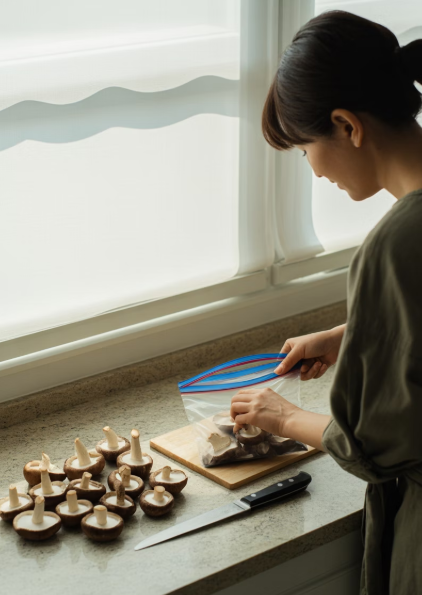 표고버섯 보관방법 꿀팁 모음 4