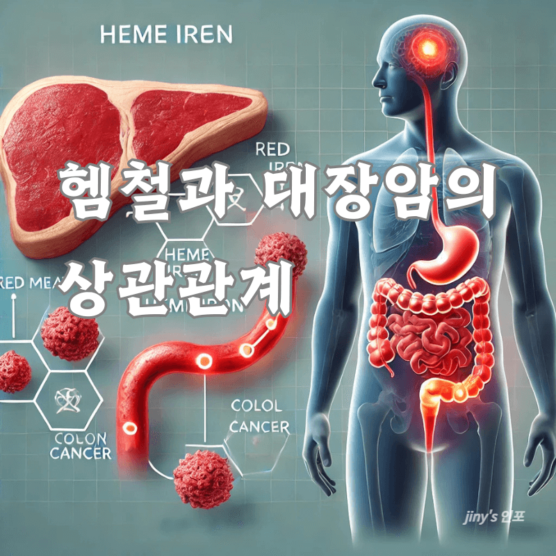 헴철과 대장암의 상관관계