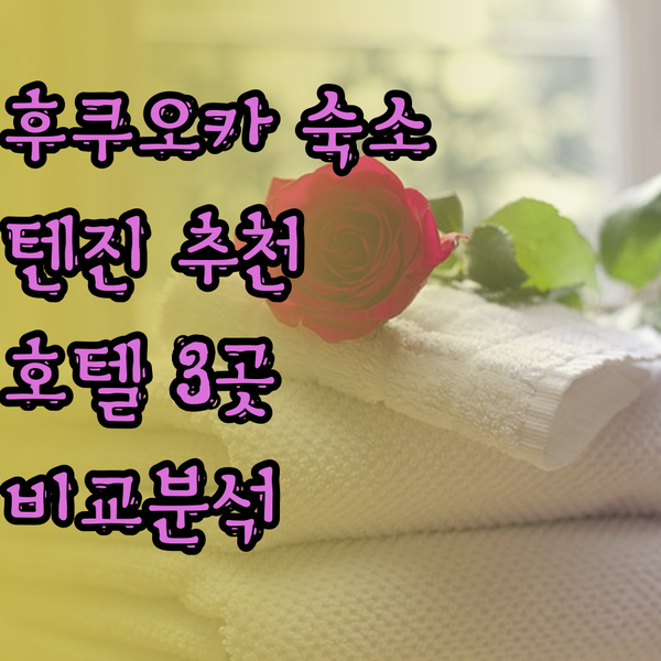 후쿠오카 텐진 숙소 고민? 추천 호텔