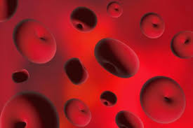 혈소판 수치 올리는 방법