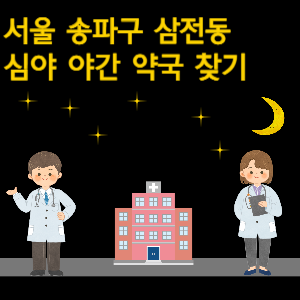 서울 송파구 삼전동 심야 야간 24시 약국 찾기