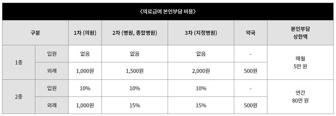 의료급여-본인부담-비용-도표