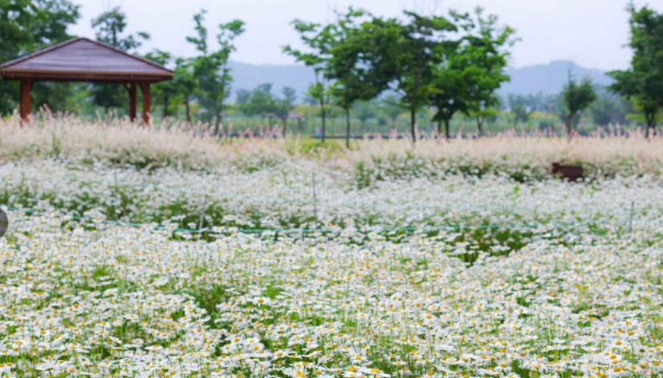 악양생태공원