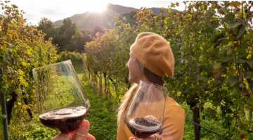 와인 애호가를 위한 해외 여행지 추천