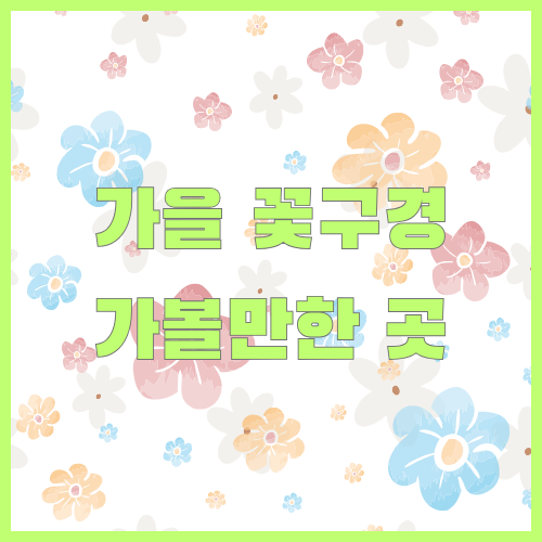 가을 꽃구경