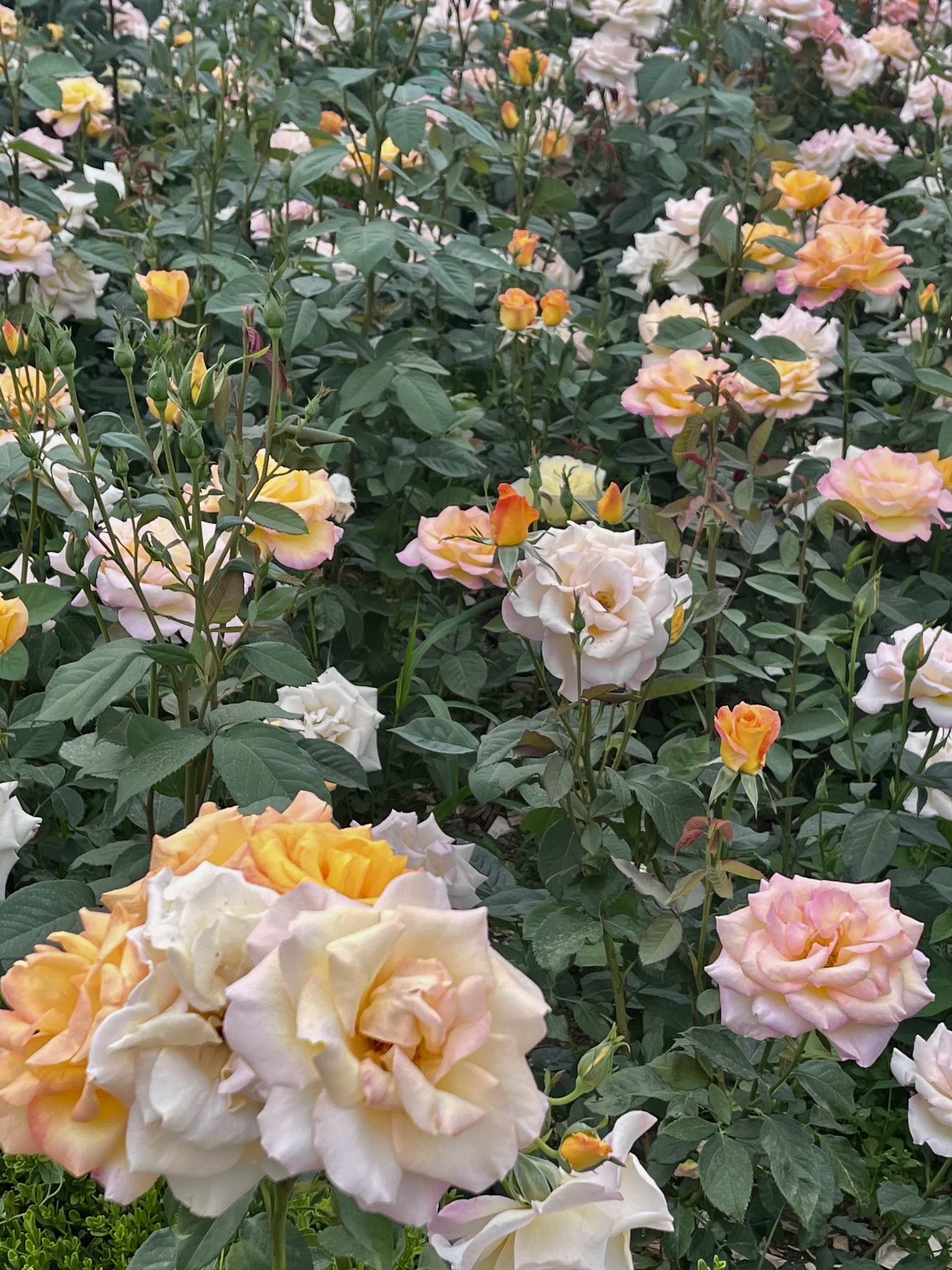 서울대공원 식물원