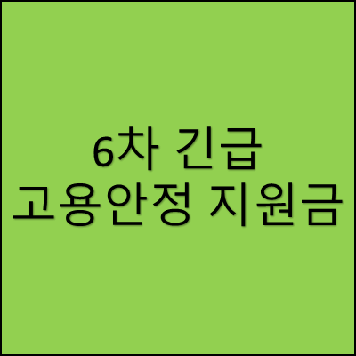 6차 긴급 고용안정 지원금 썸네일