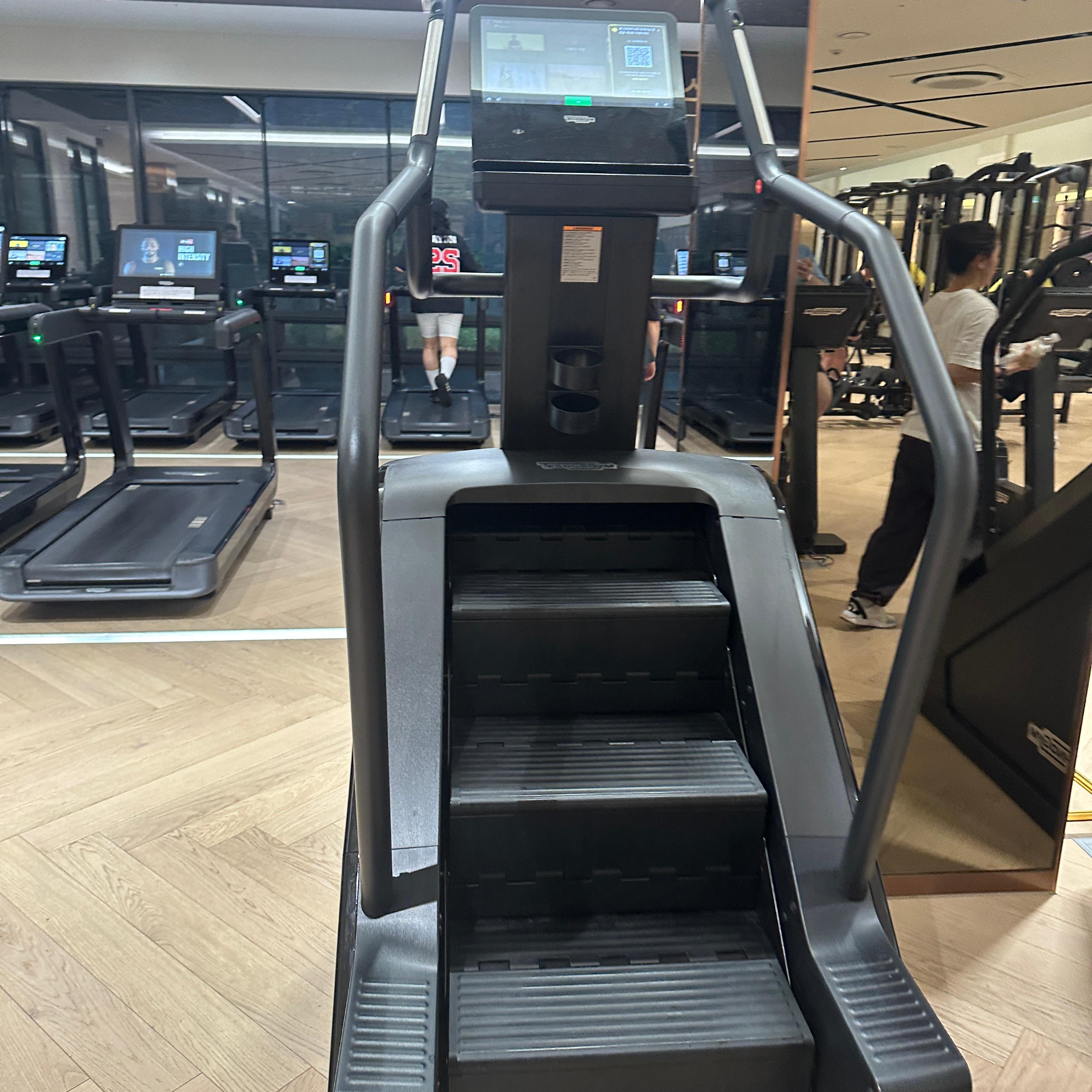 힙딥과 셀룰라이트