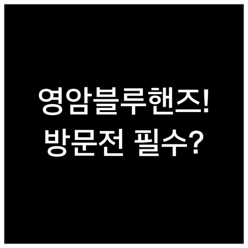 영암읍 삼호읍 신북면 현대자동차 블루..