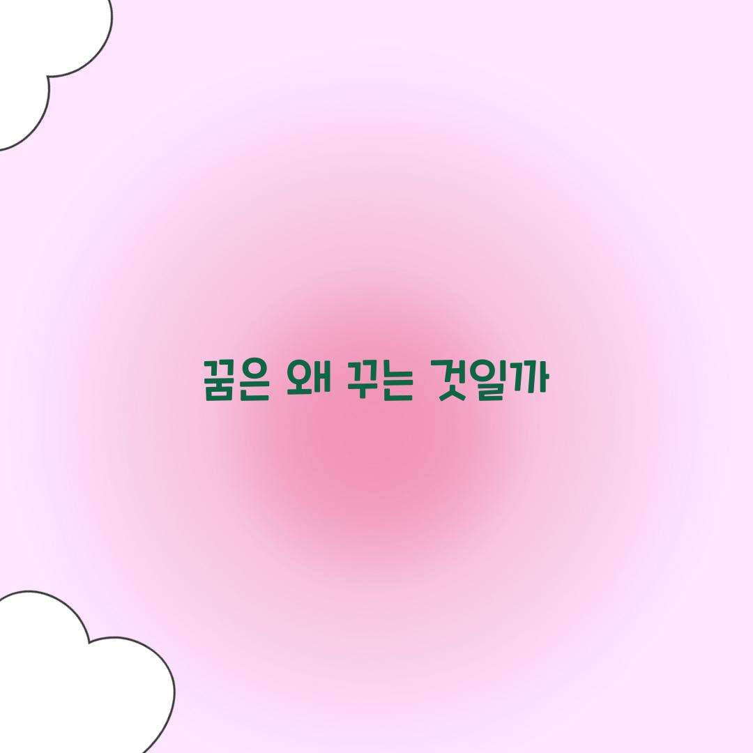 꿈은 왜 꾸는 것일까