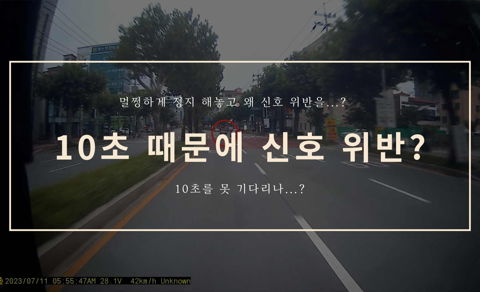 10초를 못 기다려서 신호 위반이라니..