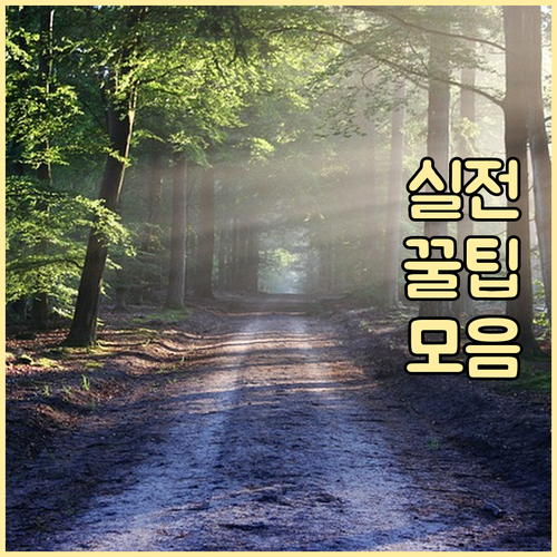 솔직한 후기가 만드는 변화: 동물병원