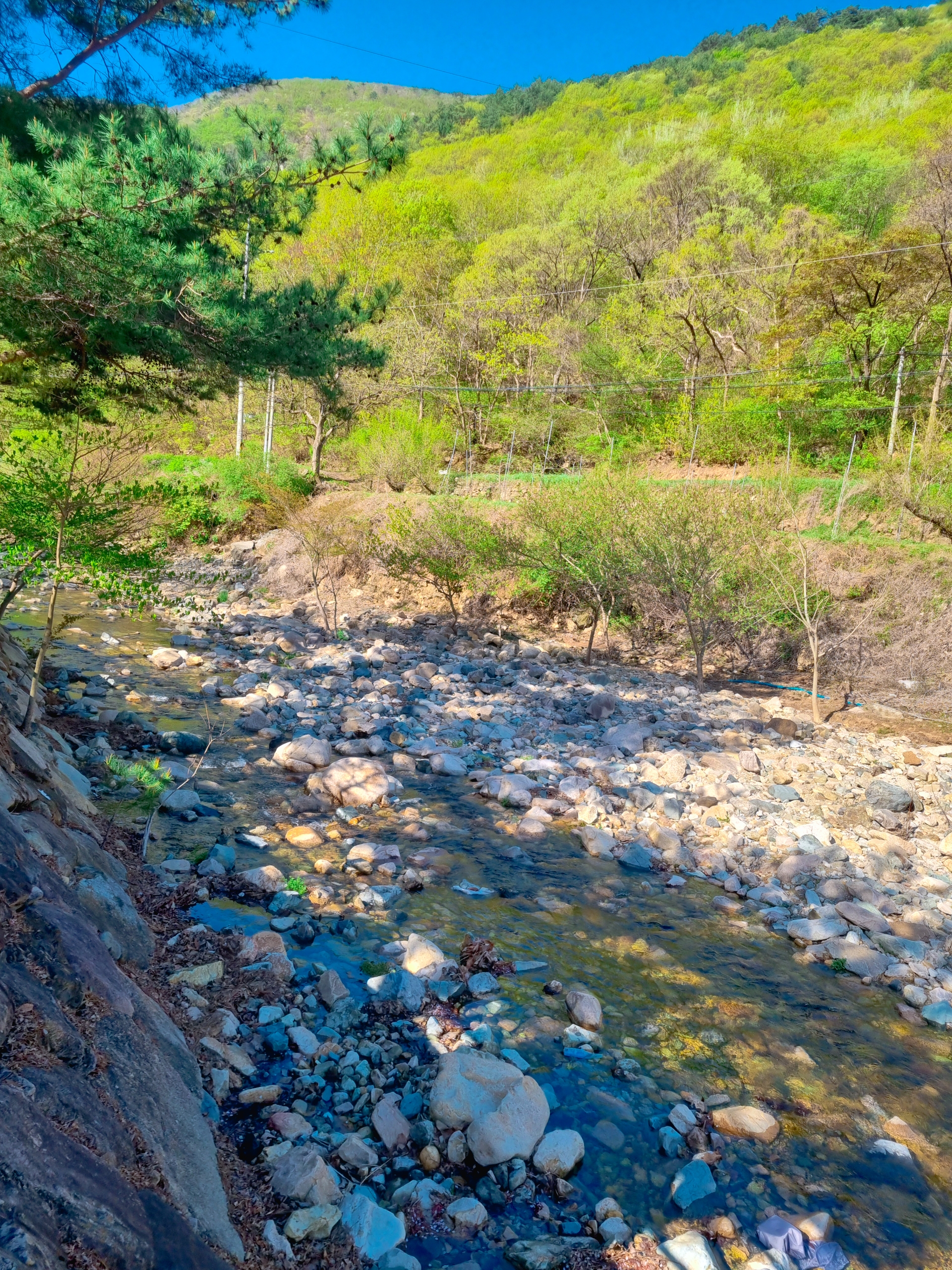양산 무릉도원 오토캠핑장