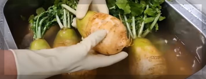 동치미 담그는법