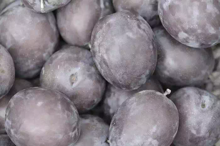 자두