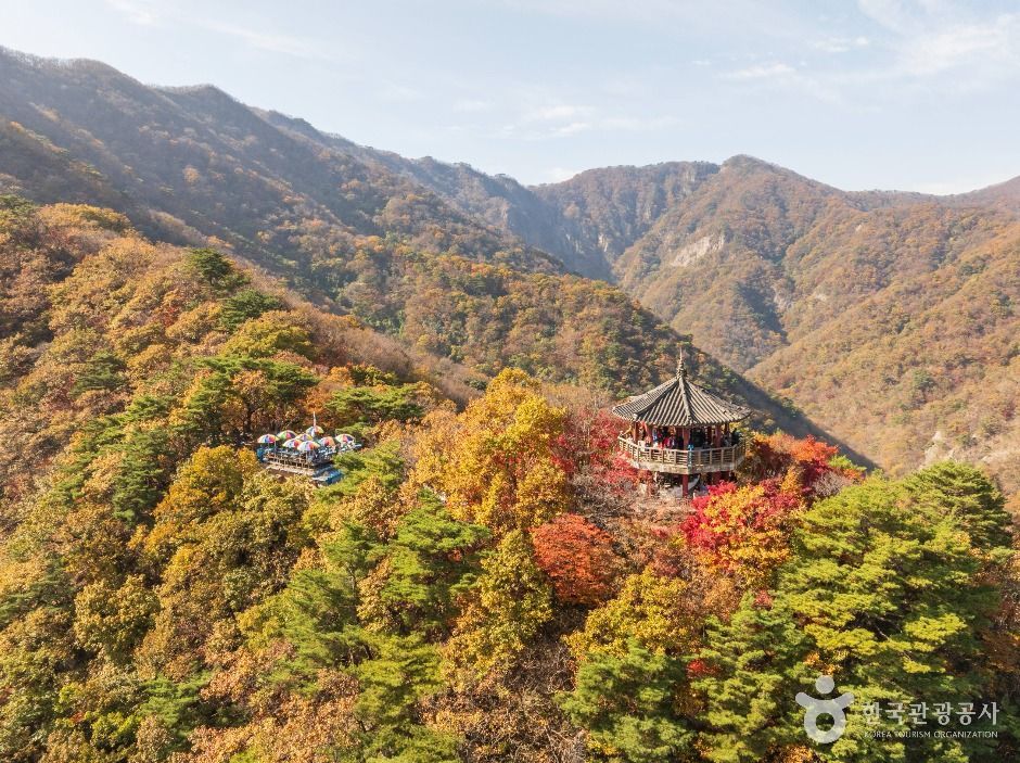 내장산 능선 정자와 가을 단풍
