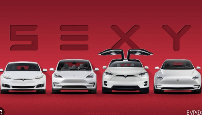 테슬라 모델Y 중고차 가격 시세표 유지비