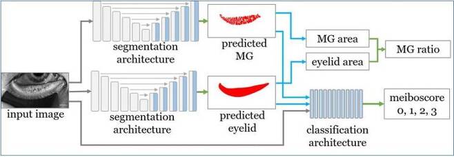 인공지능 딥러닝 모델