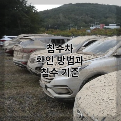 썸네일 침수차 확인방법