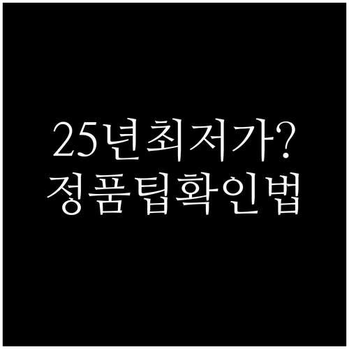 2025년 써마지 시술 가격표와 정품..