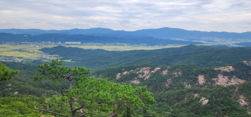 남산 등산로