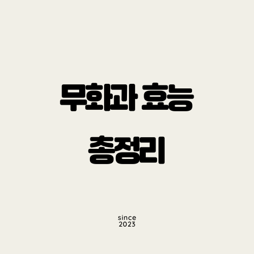 무화과 효능 총정리