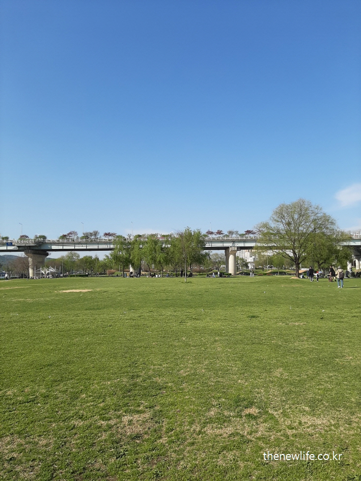 Gwangnaru Park lawn and clear sky, with people enjoying the green space / 광나루 공원의 잔디밭과 맑은 하늘, 잔디밭 어싱을 즐기는 시민들