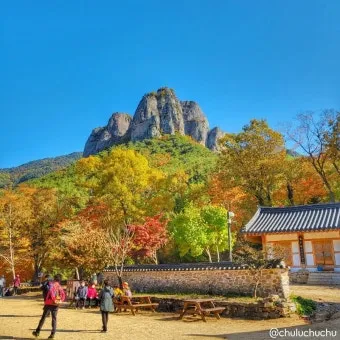 청송 주왕산 여행 코스 폭포 산책 주차 가을 단풍 포인트_4