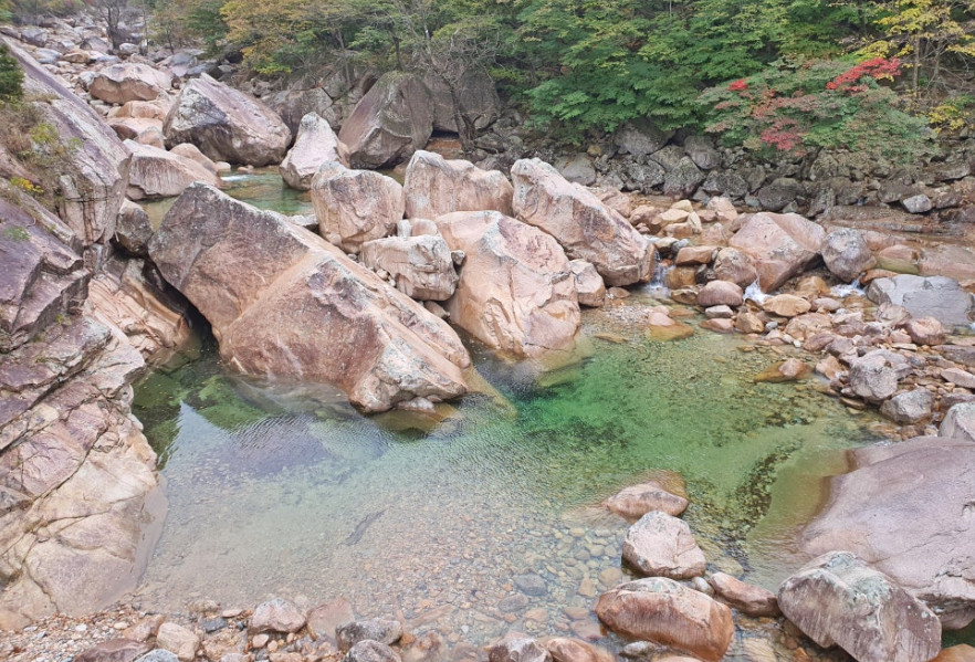 비선대
