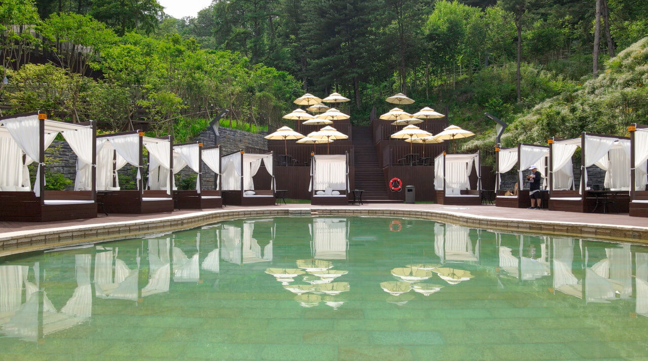 춘천 강아지숲 네이쳐풀